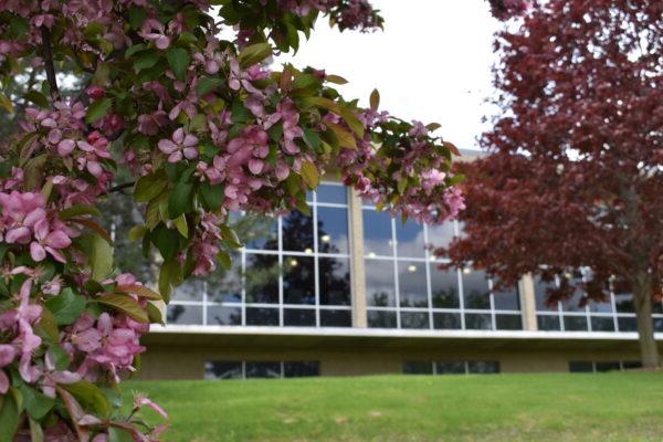 a building with windows and trees